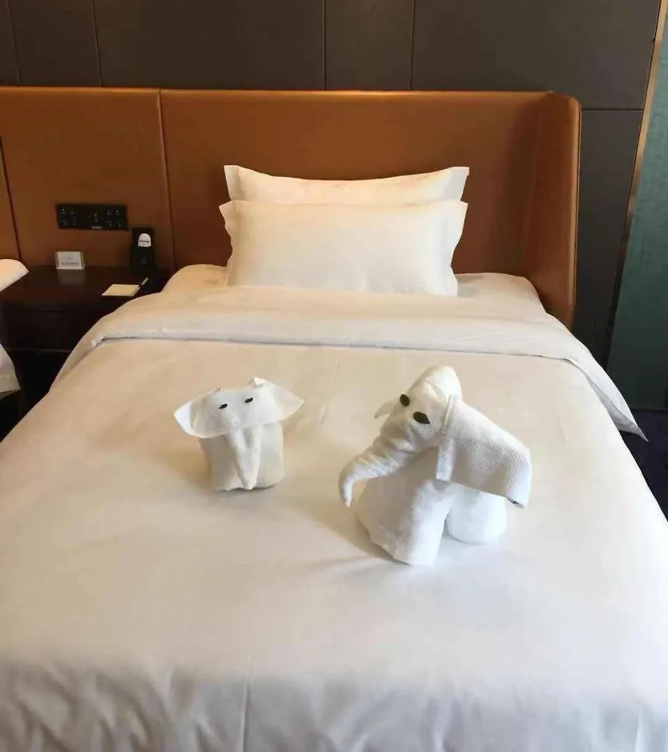Yun Song International Hotel Hszinhsziang